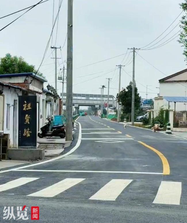 『王祖贤』捐建的路升级改造竣工 家乡道路焕新颜