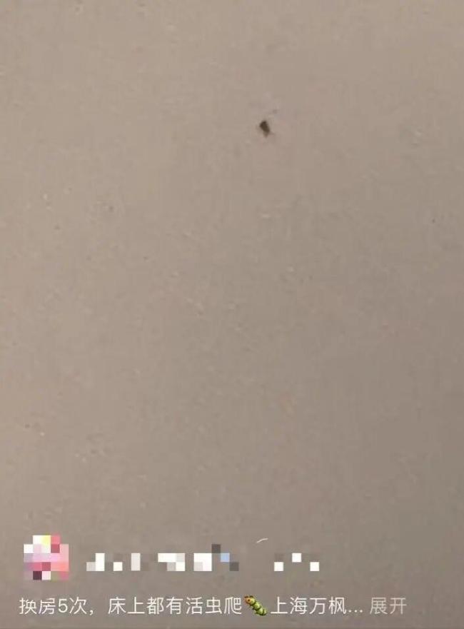 女子住酒店深夜崩溃:一直折腾到凌晨!床上惊现活虫