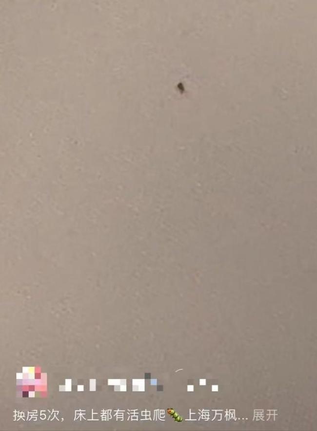 “连换5间房床上都有活虫”！酒店回应 卫生问题引争议