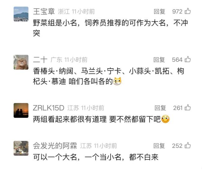 用野菜命名大猩猩获六成网友支持 “头字辈”要出道！