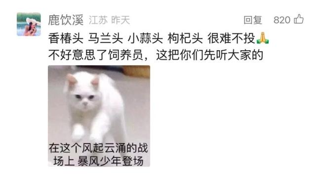 用野菜命名大猩猩获六成网友支持 “头字辈”要出道！