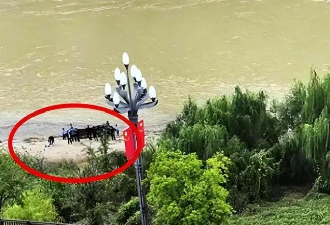 家属称新郎跳河前曾在车上哭泣 婚车争吵成悲剧导火索