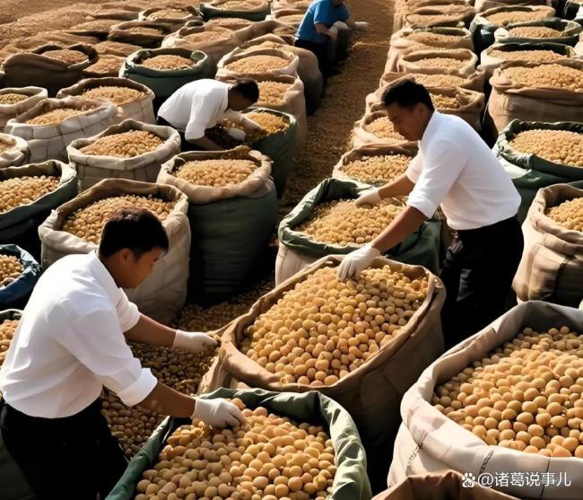 今年美国农民会赔钱吗 贸易战下的大豆危机