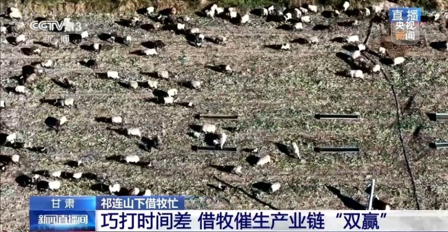 借牧双方资源互补催生产业新模式