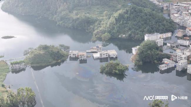 广西百色多个村屯被洪水浸泡逾20日 持续内涝成孤岛
