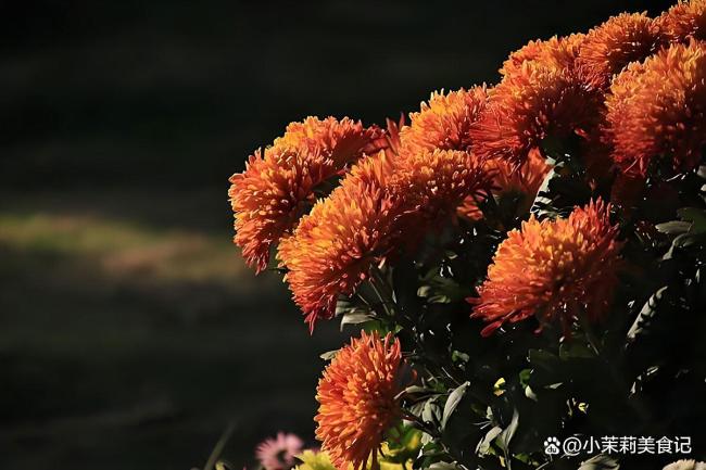 明日九月初一，提醒：5样不上桌