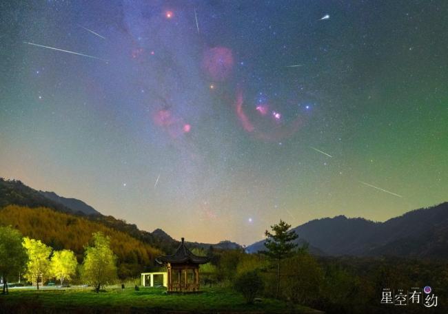 猎户座流星雨21日迎极大 观测条件极佳