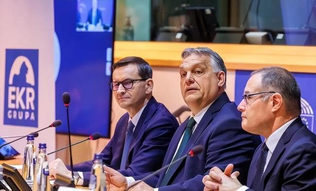 泽连斯基为何寻求参与“特普会” 罕见措辞引发全球高度关注