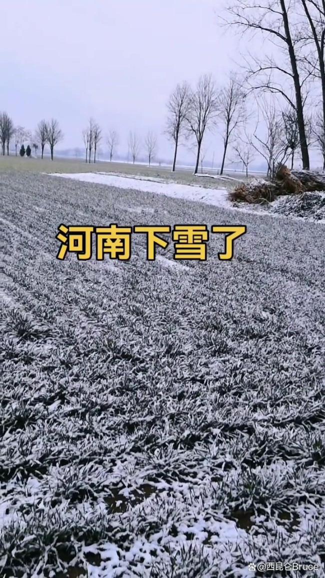 郑州迎入秋后第一场雪 冰雪奇缘刷屏朋友圈