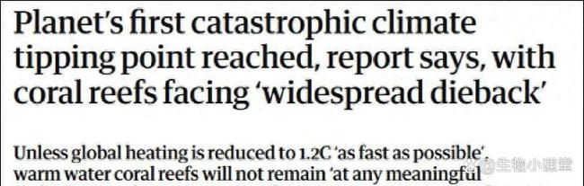 90%珊瑚礁濒临崩溃!群众气温升高1.4℃,为何形成如斯糟糕性后果 局势临界点警钟响起