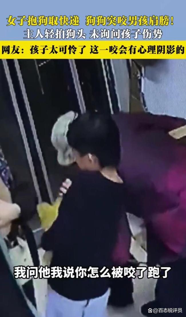女子抱狗取快递狗狗突然咬旁人 宠物管理引热议