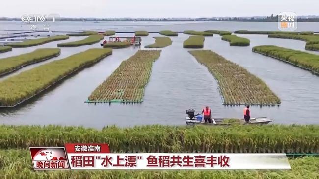 稻浪翻滾、瓜果飄香 神州大地好“豐”景