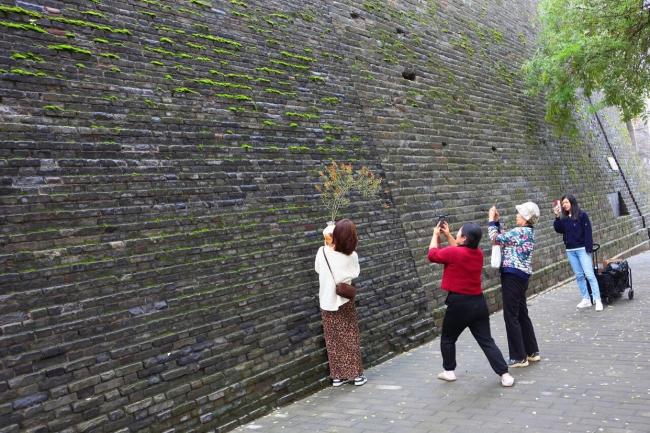 北方古城潮到发绿多少人急坏了 访古要趁早