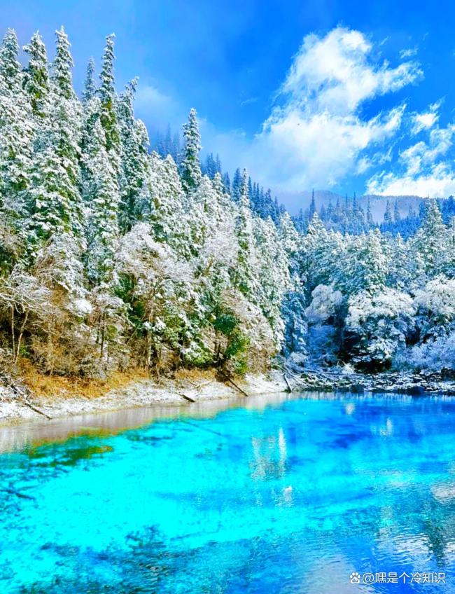 雪后九寨沟美成了童话世界 初雪妆点人间仙境