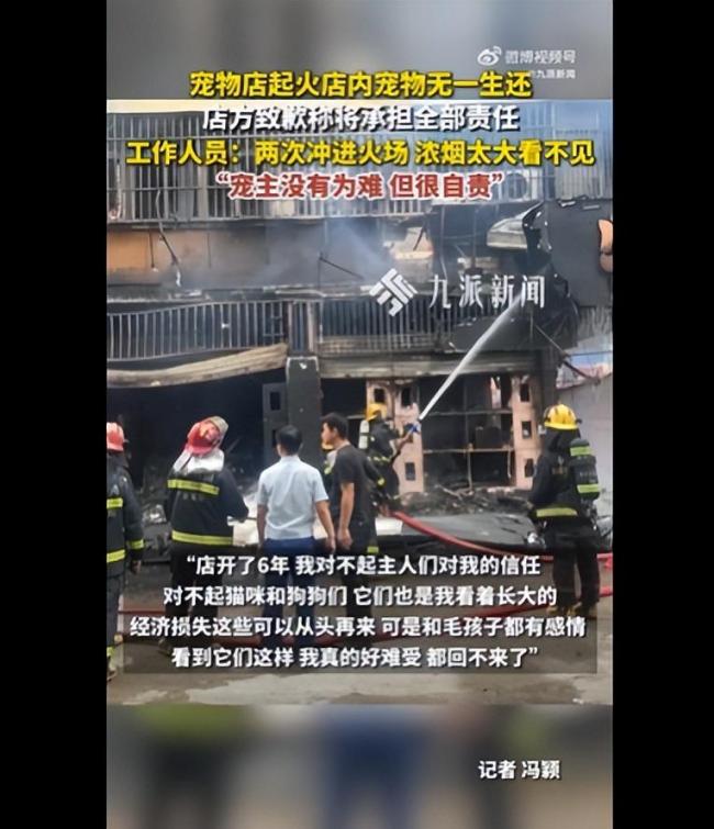 寵物店員回應(yīng)店里起火寵物無一生還 深感自責(zé)與歉意