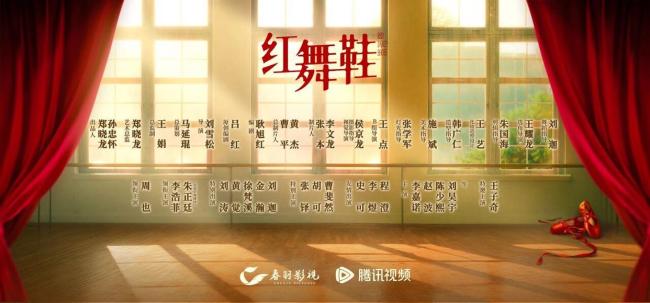 红舞鞋剧组用疏忽搪塞撞猫