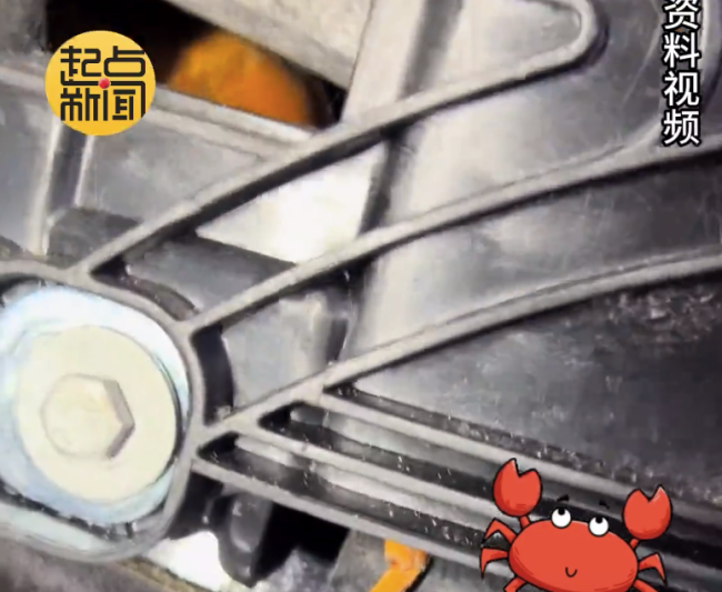 大闸蟹钻进车内消失2年后被取出!奥迪异味难忍拆车发现元凶竟是螃蟹