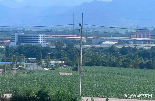实拍：缅甸多个诈骗园大量人员出逃 妙瓦底上演万人大逃亡