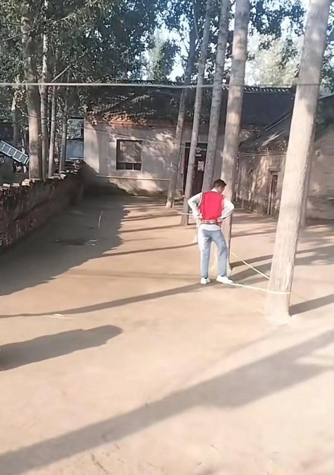 河南一大爷院子太干净成打卡地 像小时候的家