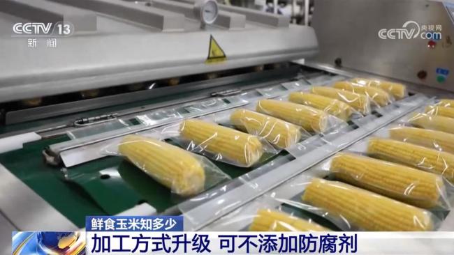 鲜食玉米是减脂餐的绝佳选择 营养锁鲜技术揭秘