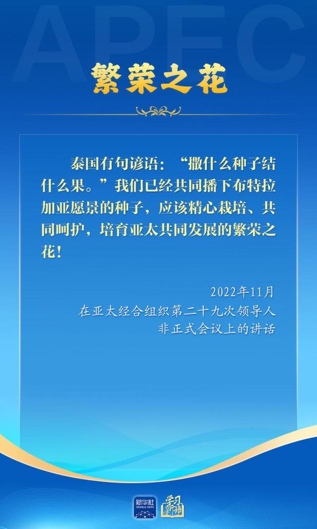 学习新语｜推动亚太合作，习近平主席生动阐释