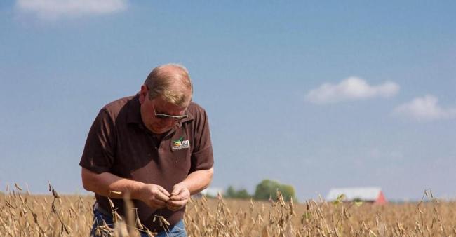 中國會恢復從美國進口大豆嗎 豆農(nóng)困境引關注