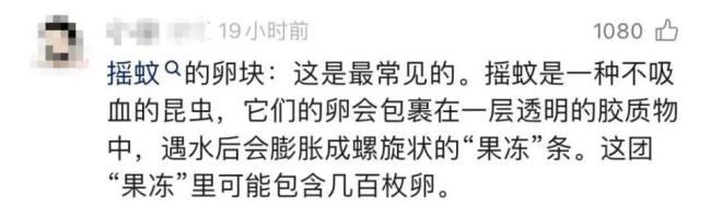 女子喝隔夜水发现白色漂浮物 疑似虫卵引发关注