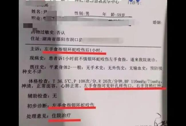 男子直播挖蛇被咬 没打血清失联至今 家属焦急寻找