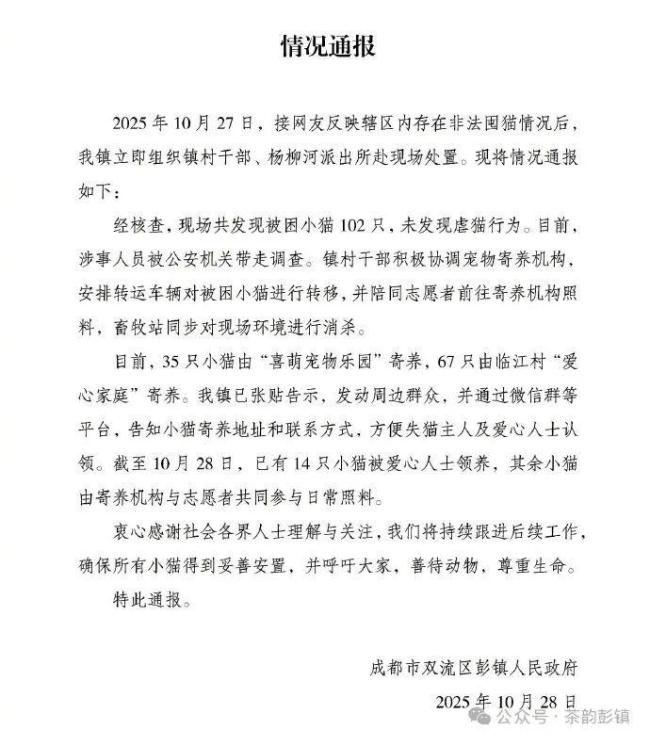 成都空置房囤猫涉事人员被查 102只小猫获救并妥善安置