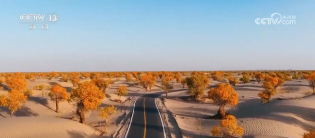 各地迎来秋日“限定版”美景