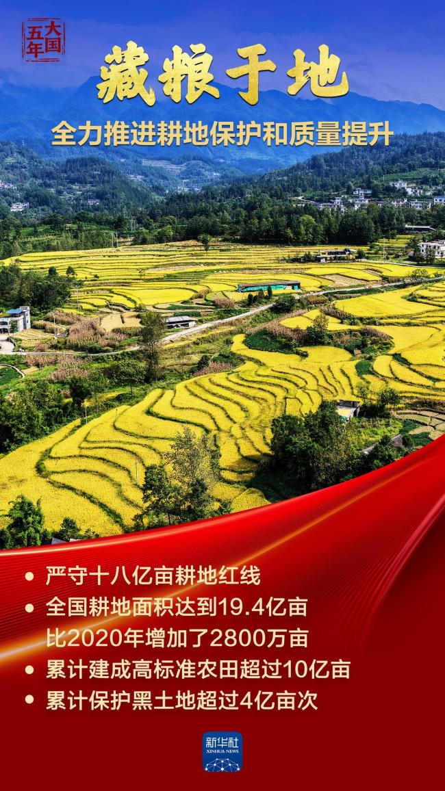 大国饭碗 吃得好端得牢 丰收答卷显底气