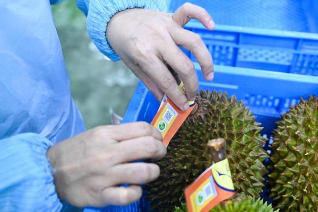 东盟“扩圈”官宣新成员 东帝汶加入实现首次扩容