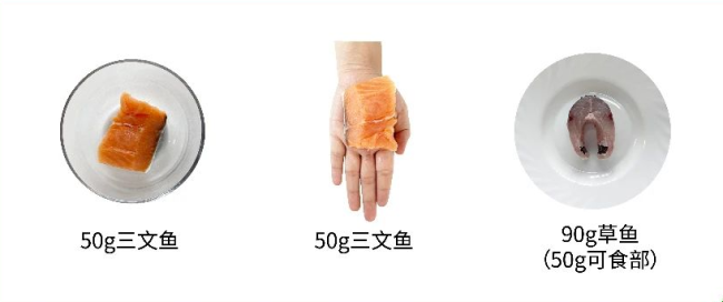 吃多怕长胖,吃少缺营养?蛋和肉到底吃多少?