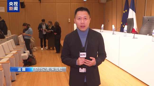 法国卢浮宫抢劫案2名嫌疑人将被正式起诉