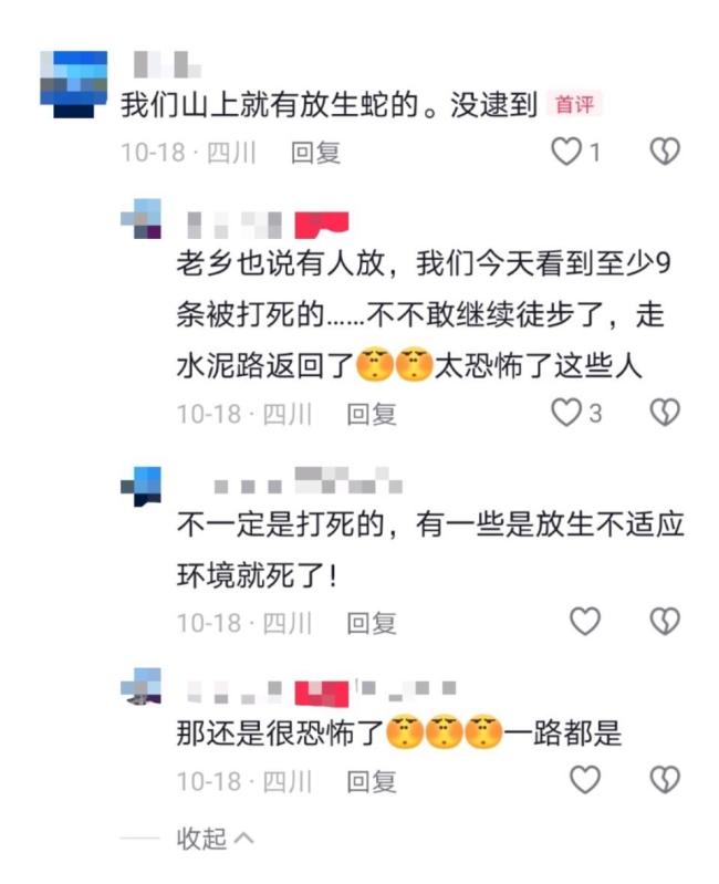 当地回应一村疑有人放生毒蛇 未现毒蛇伤人事件