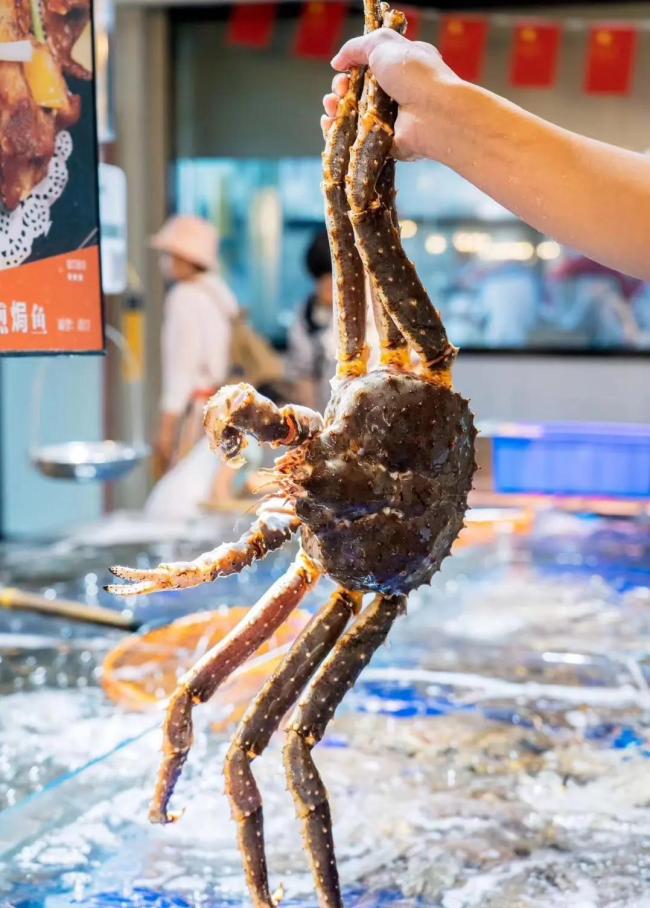 中等发达国家水平什么样