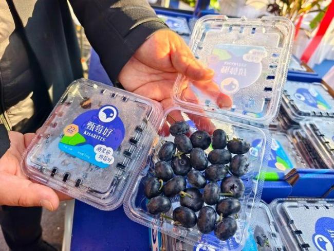 2025北京马拉松开赛 赛事保障就绪