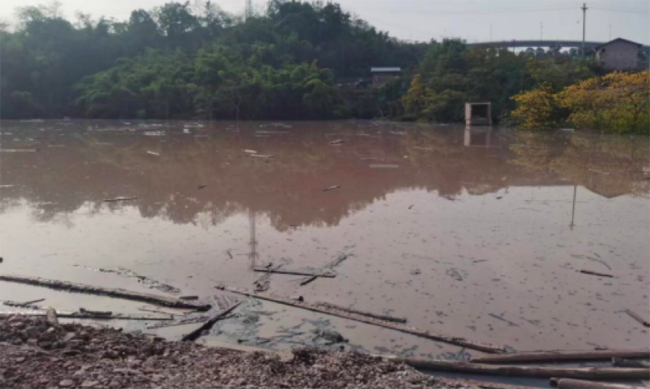 重庆渝北弃土场坍塌3死2伤续 事故调查与处罚公布