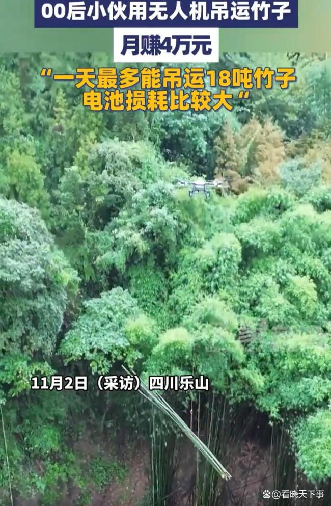 小伙用无人机吊运竹子月赚4万