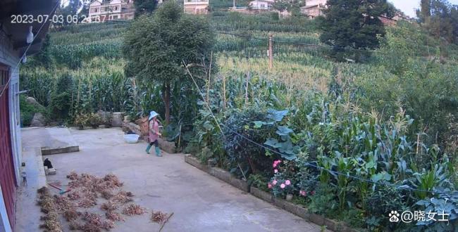 贵州石缝抛尸案 凶手竟是“半个亲戚”