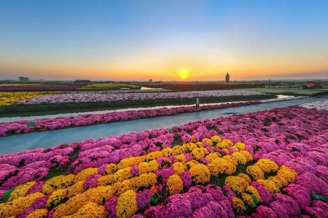 “苏超”夺冠后,泰州市官宣→