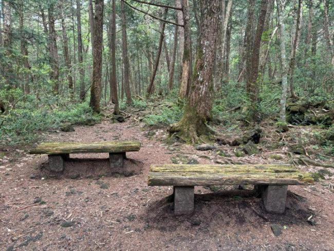 中国女生失联前曾打听日本自杀森林 多方力量紧急寻人