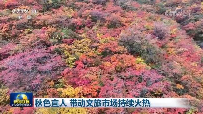 节令之美丨立冬：黄酒冬酿正当时