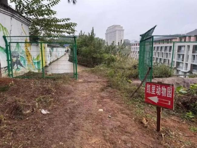 “史上最寒酸”动物园呼吁别转账 爱心捐款已足够