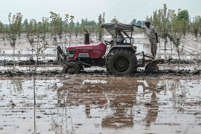财经观察：农民困境削弱莫迪对美贸易谈判筹码