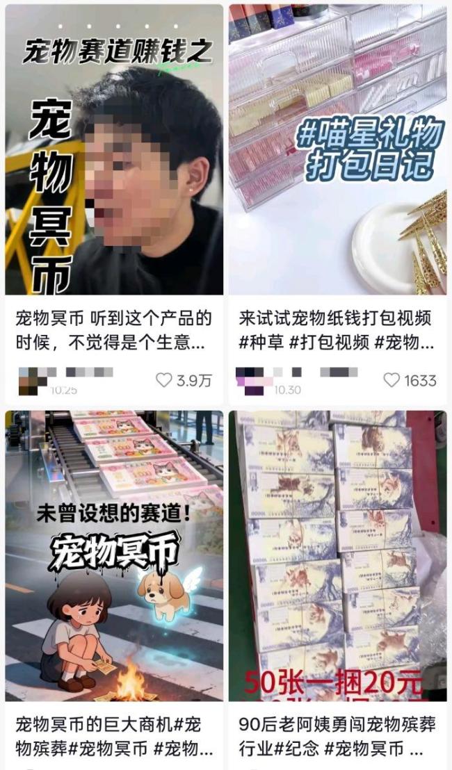 宠物冥币悄然走红引热议 情感寄托还是商业噱头？