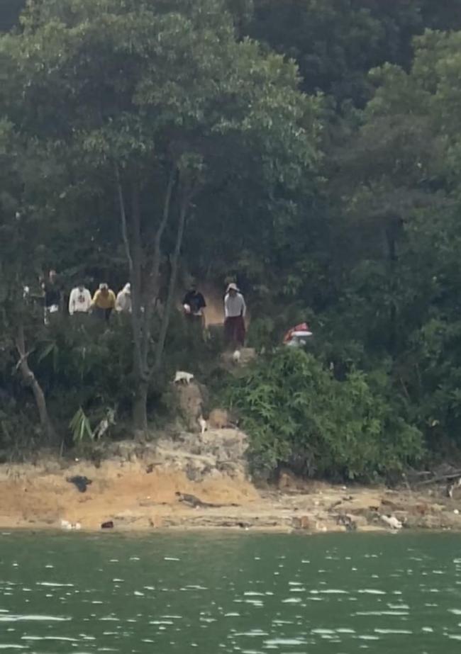 “水库放生大量猫