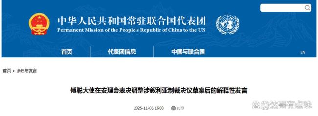 14票赞成,中国弃权,美国如愿以偿