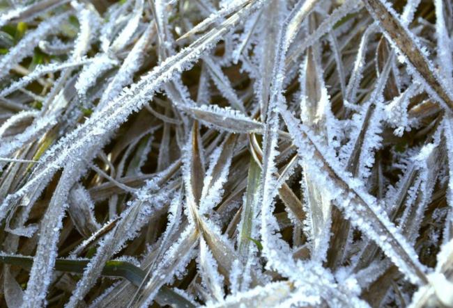 “立冬见天兆,冷暖冬先知”啥意思?古谚预测冬季冷暖