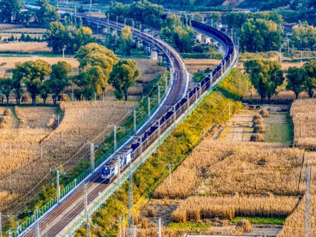 当列车遇上深秋,画面绝美!